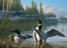 Load image into Gallery viewer, Cobble Hill 1000pc &quot;Common Loons&quot; Puzzle
