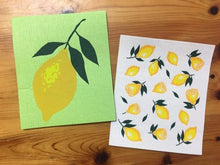 Load image into Gallery viewer, Ecologie - Swedish Dish Cloths - Sets of 2