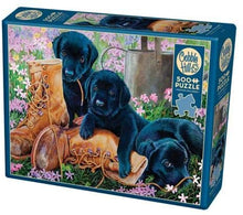 Load image into Gallery viewer, Cobble Hill 500pc &quot;Trouble in the Garden&quot; Puzzle
