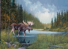 Load image into Gallery viewer, Cobble Hill 1000pc &quot;Moose Lake&quot; Puzzle
