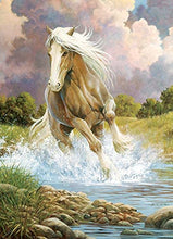 Load image into Gallery viewer, Cobble Hill 1000pc &quot;River Horse&quot; Puzzle
