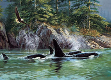 Load image into Gallery viewer, Cobble Hill 1000pc &quot;Orcas&quot; Puzzle
