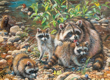 Load image into Gallery viewer, Cobble Hill 350pc &quot;Racoon Family&quot; Puzzle
