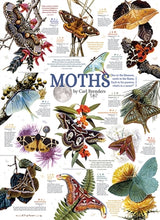 Load image into Gallery viewer, Cobble Hill 1000pc &quot;Moth Collection&quot; Puzzle
