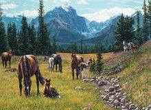 Load image into Gallery viewer, Cobble Hill 1000pc &quot;Horse Meadow&quot; Puzzle
