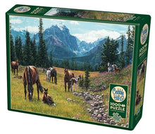Load image into Gallery viewer, Cobble Hill 1000pc &quot;Horse Meadow&quot; Puzzle
