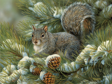 Load image into Gallery viewer, Cobble Hill 275pc &quot;Gray Squirrel&quot; Puzzle
