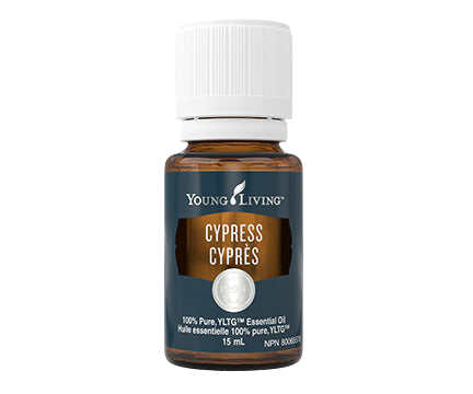 YL - Essential Oil - Cypress