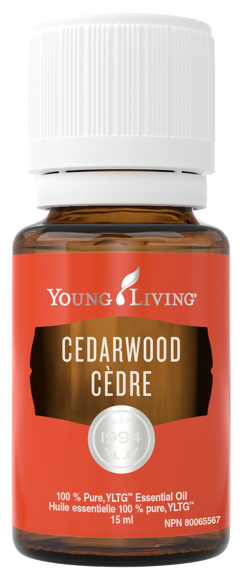 YL - Essential Oil - Cedarwood