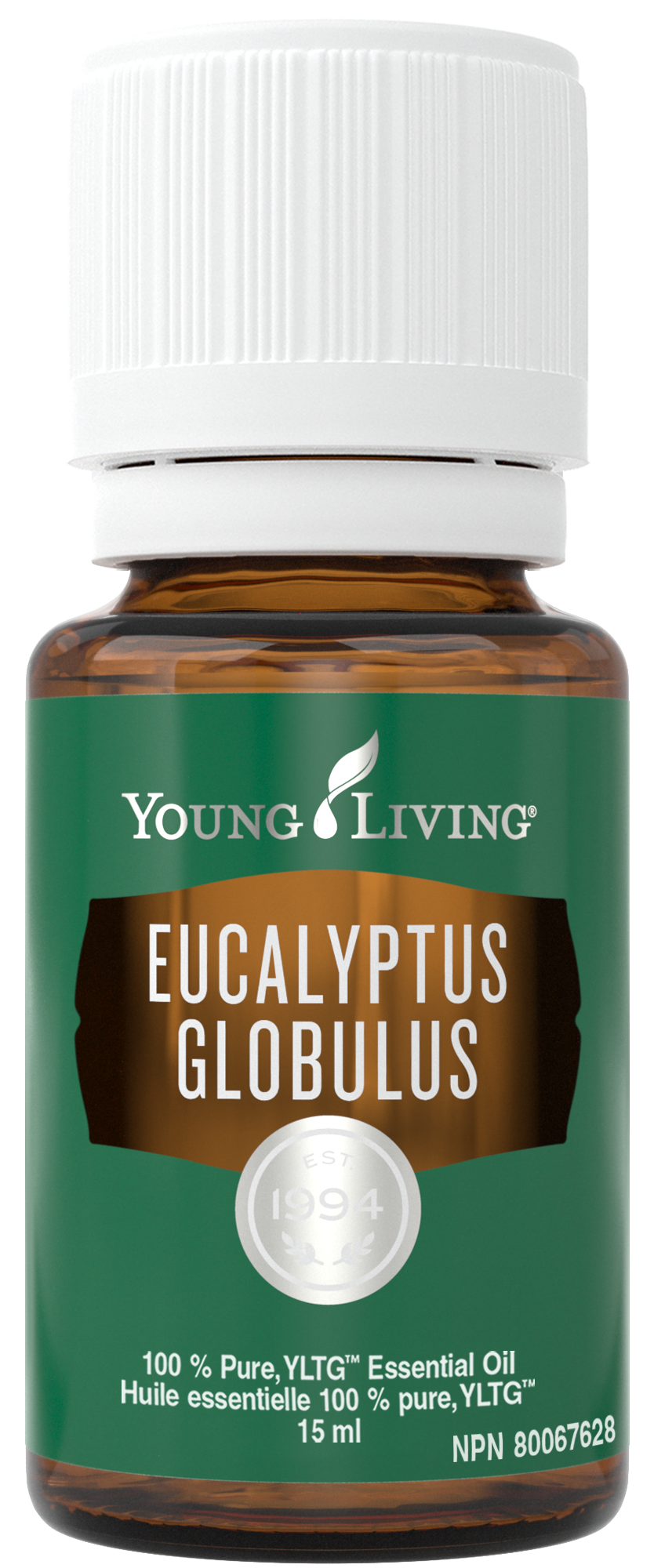 YL - Essential Oil - Eucalyptus Globulus