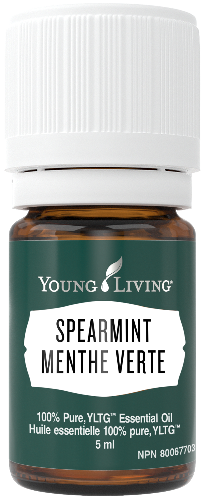 YL - Essential Oil - Spearmint